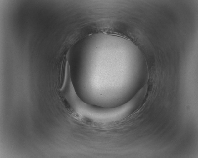 X0000071380041200606231257
