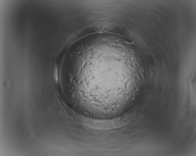 X0000071380042200606231257