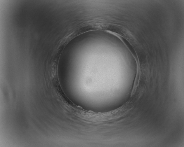 X0000071380043200606231257