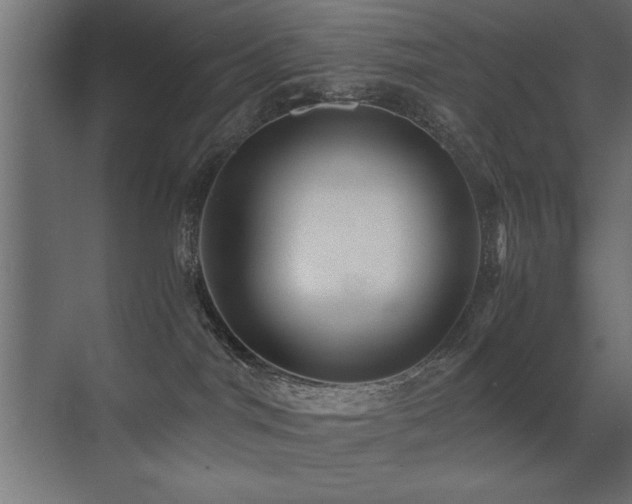 X0000071380044200606231257