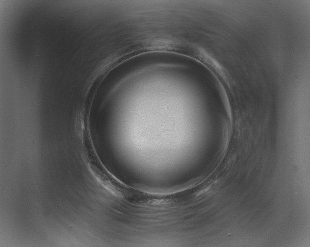 X0000071380059200606231256