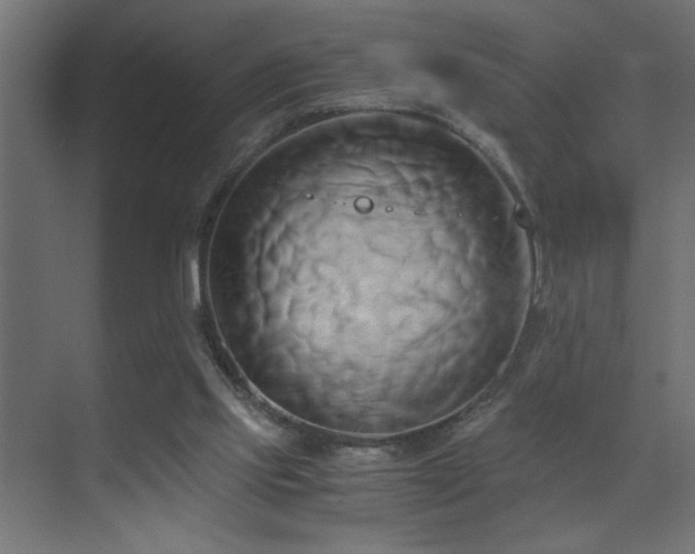 X0000071380061200606231256