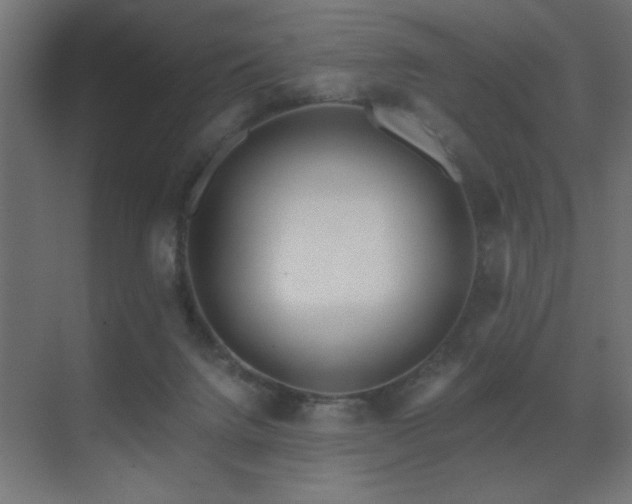 X0000071380072200606231257
