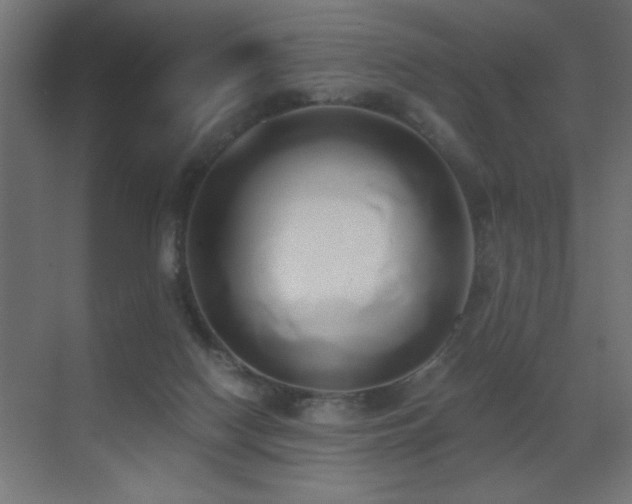 X0000071380074200606231257