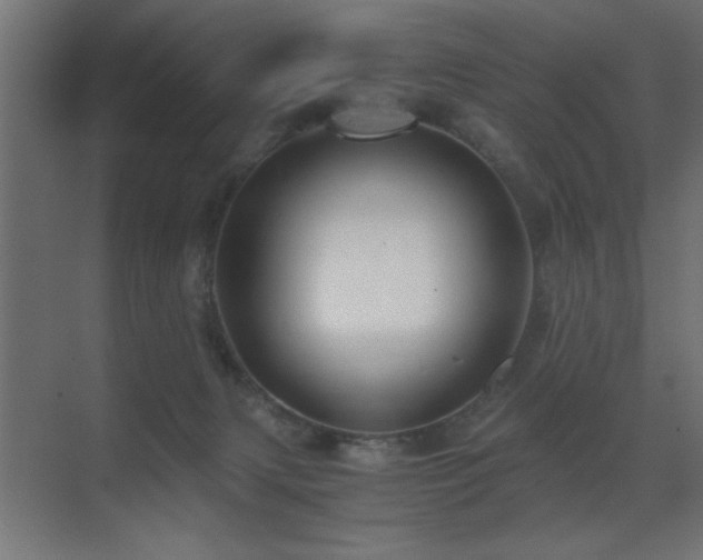 X0000071380079200606231257