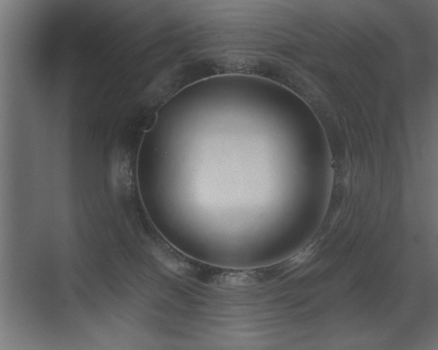 X0000071380086200606231257