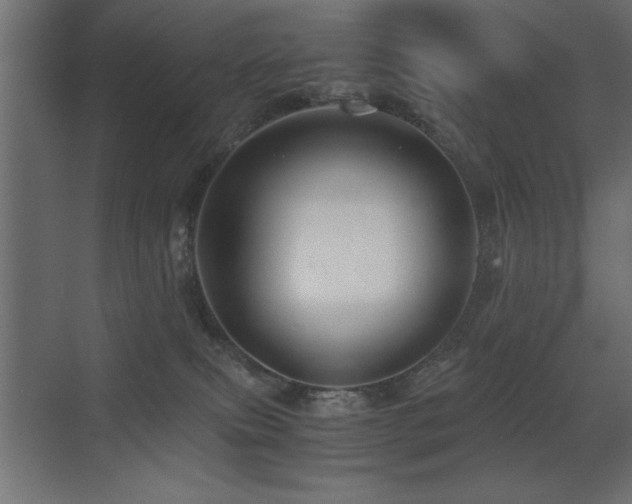 X0000071380087200606231257