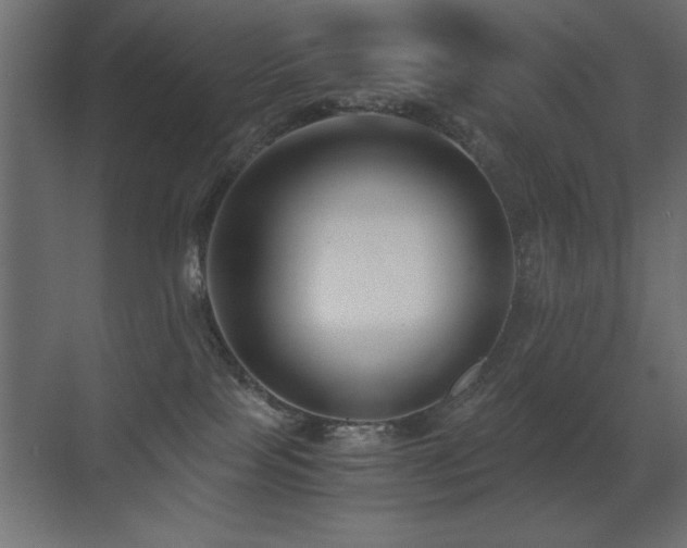 X0000071380089200606231257
