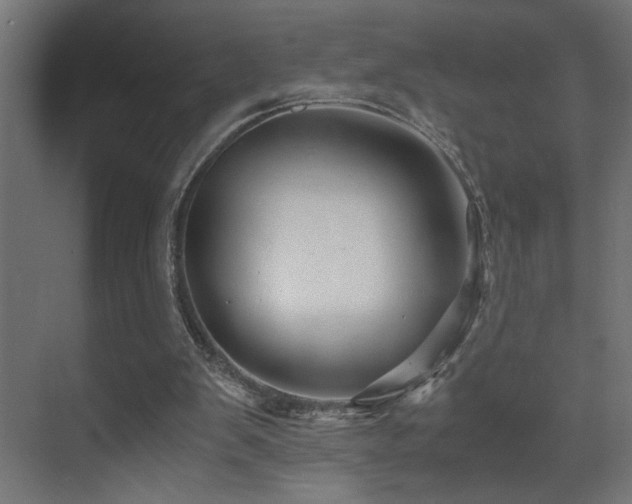 X0000071380103200606231256