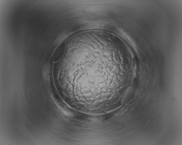 X0000071380107200606231256