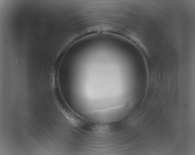 X0000071380110200606231256