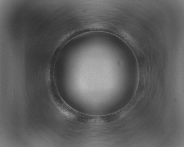 X0000071380112200606231256