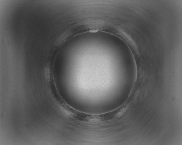 X0000071380113200606231256