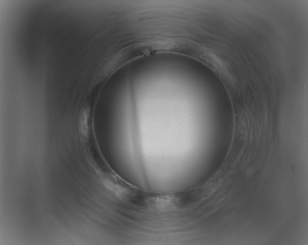 X0000071380118200606231256