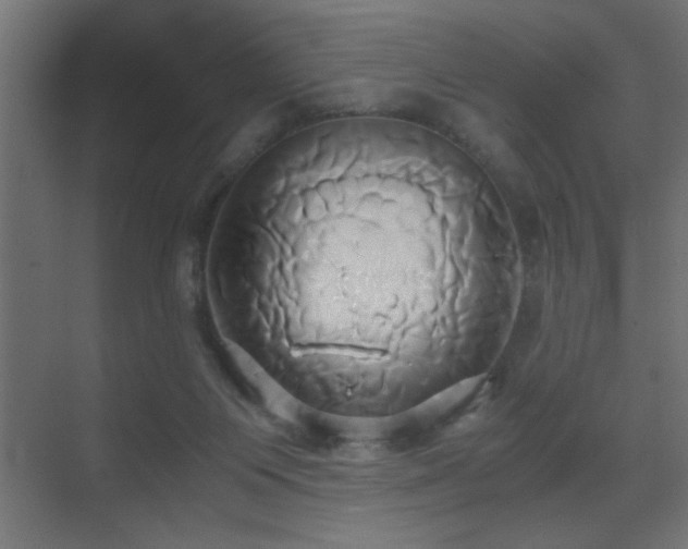 X0000071380119200606231256