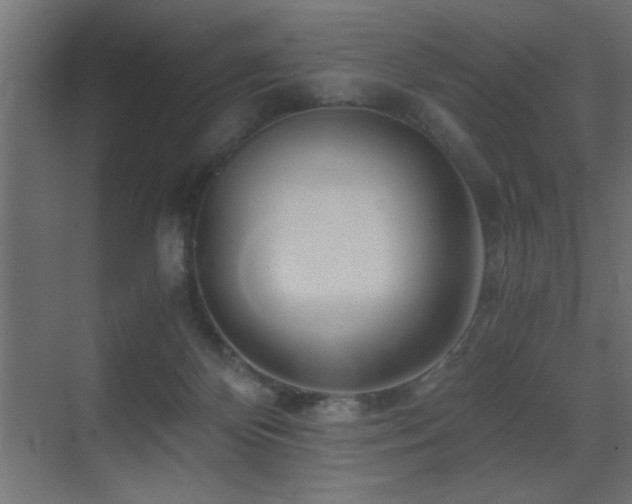 X0000071380124200606231256