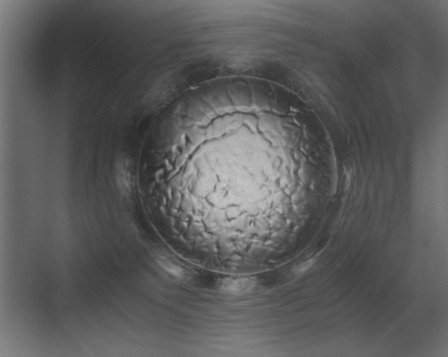 X0000071380135200606231256