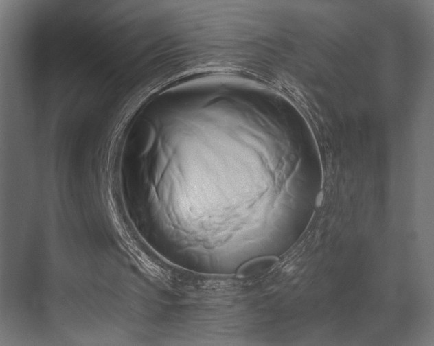 X0000071380145200606231255