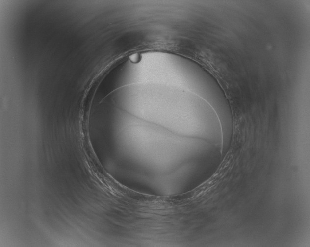 X0000071380146200606231255