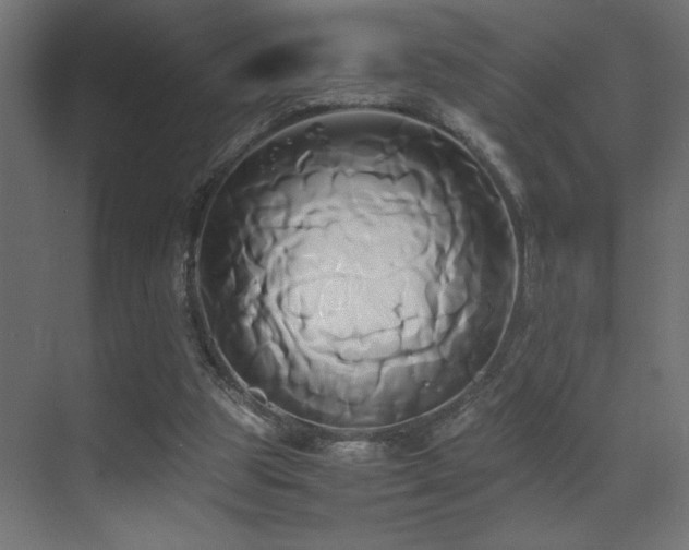 X0000071380153200606231255
