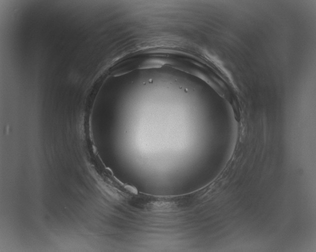 X0000071380154200606231255