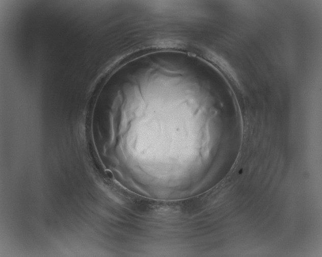 X0000071380155200606231255