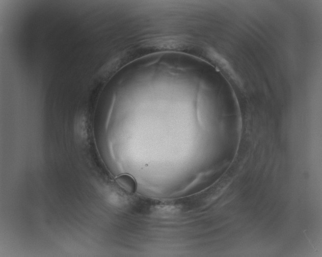 X0000071380161200606231255