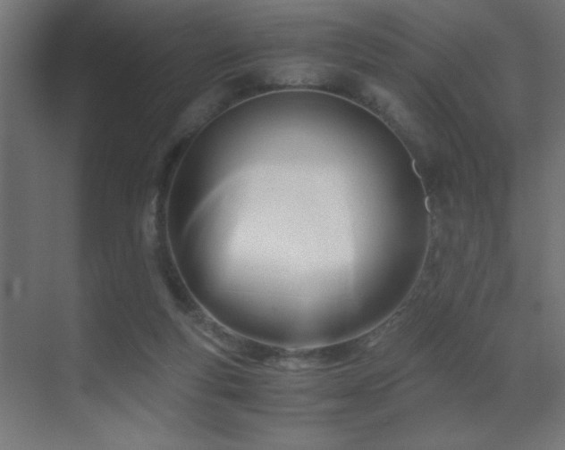 X0000071380163200606231255
