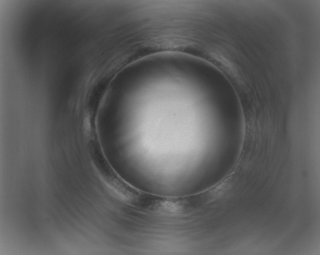 X0000071380166200606231255
