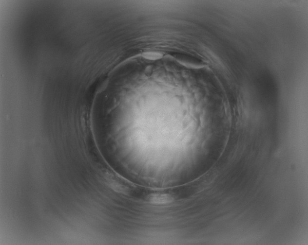 X0000071380169200606231255