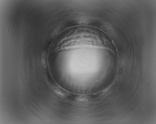 X0000071380175200606231255