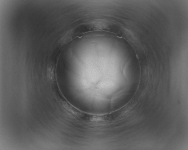 X0000071380177200606231255