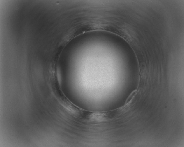 X0000071380179200606231255