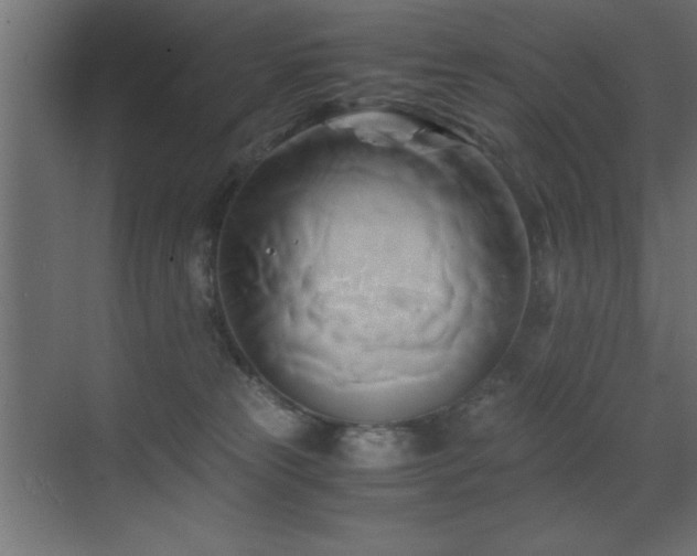 X0000071380181200606231255