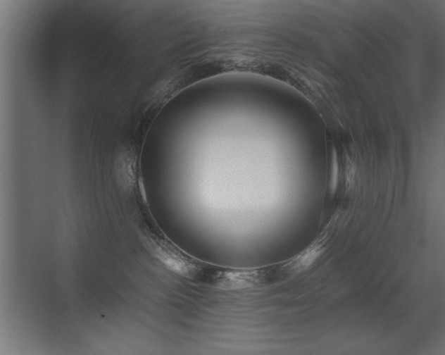 X0000071380188200606231255