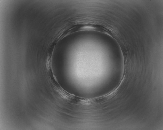 X0000071380190200606231255