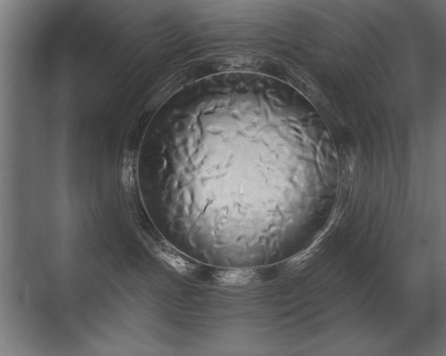 X0000071380191200606231255