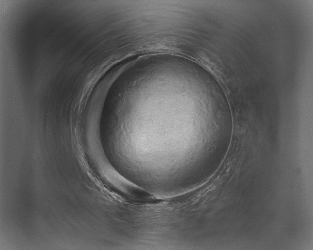 X0000071380193200606231255