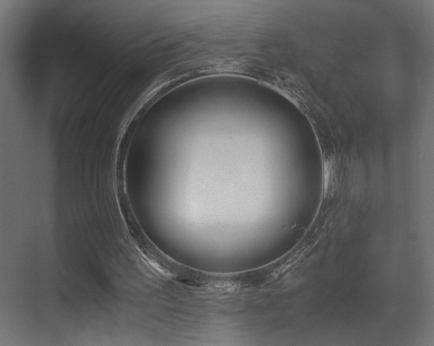 X0000071380195200606231254