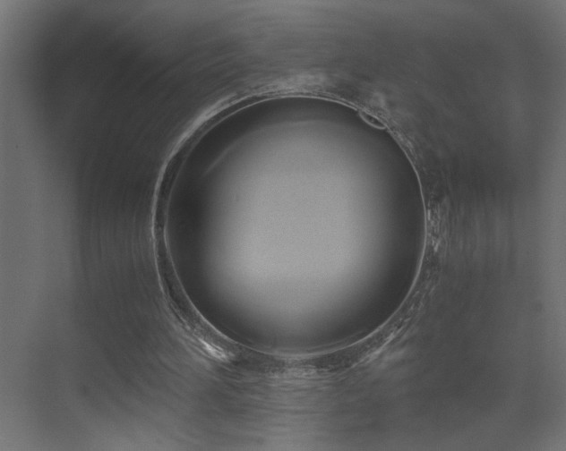 X0000071380196200606231254