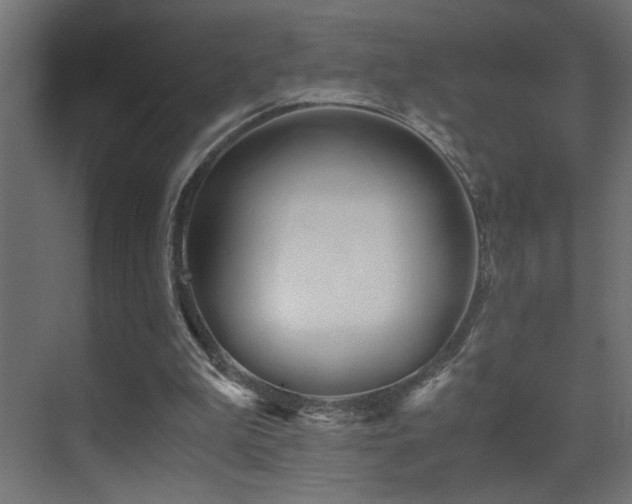 X0000071380199200606231254