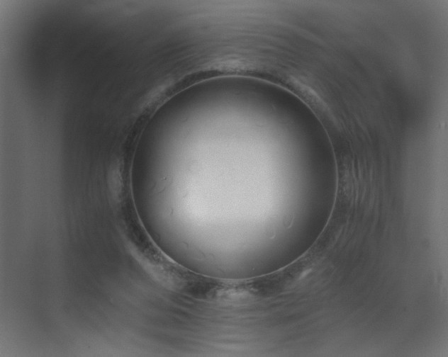 X0000071380208200606231254