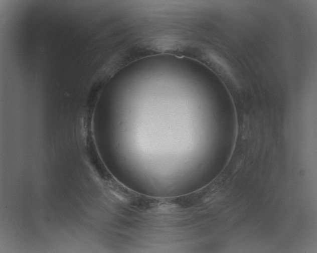 X0000071380210200606231254
