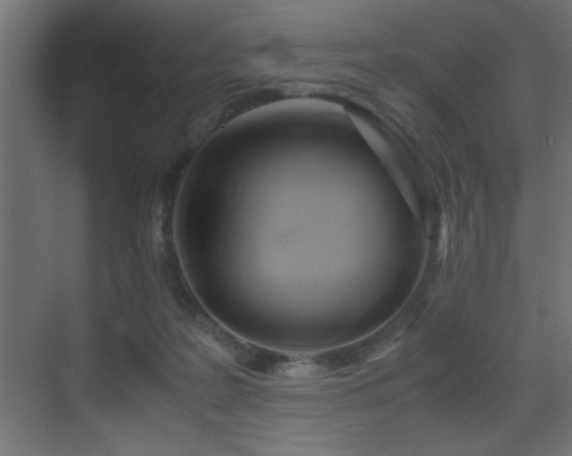 X0000071380219200606231254