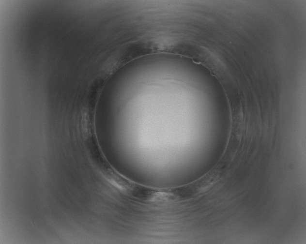 X0000071380222200606231254