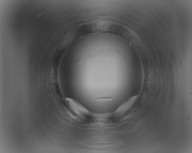 X0000071380224200606231254