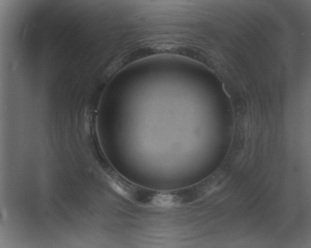 X0000071380227200606231254