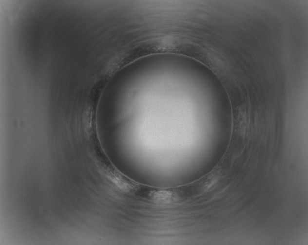 X0000071380230200606231254