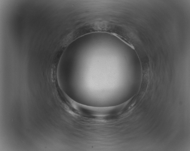 X0000071380233200606231254