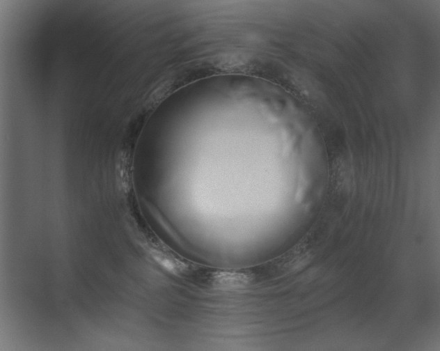 X0000071380234200606231254